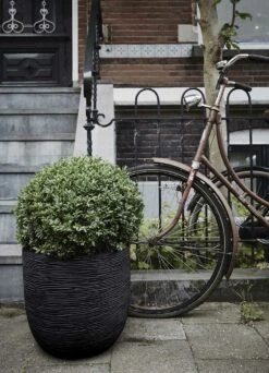 Capi Bloempot Bol Nature Row NL - D43 X H41cm - Zwart -Flamingo Verkoop pot bol row nl 43x41 zwart bloempot 6 9