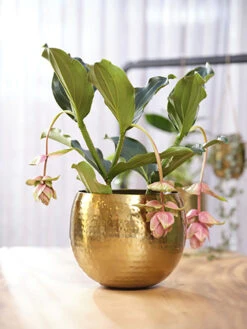 Bloempot Kody - D30 X H25cm - Goud -Flamingo Verkoop pot kody gold d30 h25 bloempot 7 11