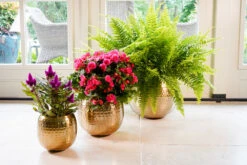 Bloempot Kody Metaal - D17 X H15cm - Goud -Flamingo Verkoop pot kody gold metaal d17 h15 bloempot 7 10