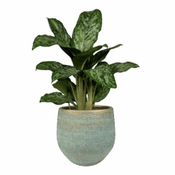 Bloempot Ryan - D36 X H32cm - Shiny Blue 6 Bloempot Ryan - D36 X H32cm - Shiny Blue -Flamingo Verkoop pot ryan shiny blue keramiek d36 h32 bloempot 6 5