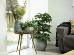 Bloempot Ryan - D36 X H32cm - Shiny Blue 7 Bloempot Ryan - D36 X H32cm - Shiny Blue -Flamingo Verkoop pot ryan shiny blue keramiek d36 h32 bloempot 7 10