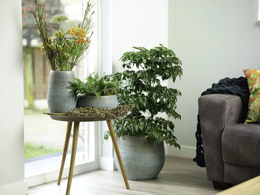 Bloempot Ryan - D36 X H32cm - Shiny Blue 5 Bloempot Ryan - D36 X H32cm - Shiny Blue - Afbeelding 3