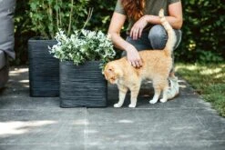 Capi Plantenbak Vierkant Nature Rib NL - L30 X B30 X H30cm - Zwart -Flamingo Verkoop pot vierkant rib nl 30x30x30 zwart plantenbak 7 8