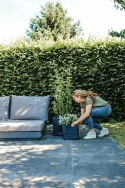 Capi Plantenbak Vierkant Nature Rib NL - L40 X B40 X H40cm - Zwart -Flamingo Verkoop pot vierkant rib nl 40x40x40 zwart plantenbak 7 8