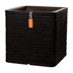 Capi Plantenbak Vierkant Nature Row NL - L40 X B40 X H40cm - Zwart