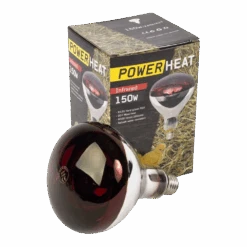 Powerheat Warmtelamp R125 - Verwarming Voor Kippen - 150 Watt