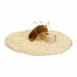 Flamingo Rody Brain Train Kast - 4 Blokken Met Touw 6 Flamingo Rody Brain Train Kast - 4 Blokken Met Touw -Flamingo Verkoop rody brain train kast 4 blokken met touw 2