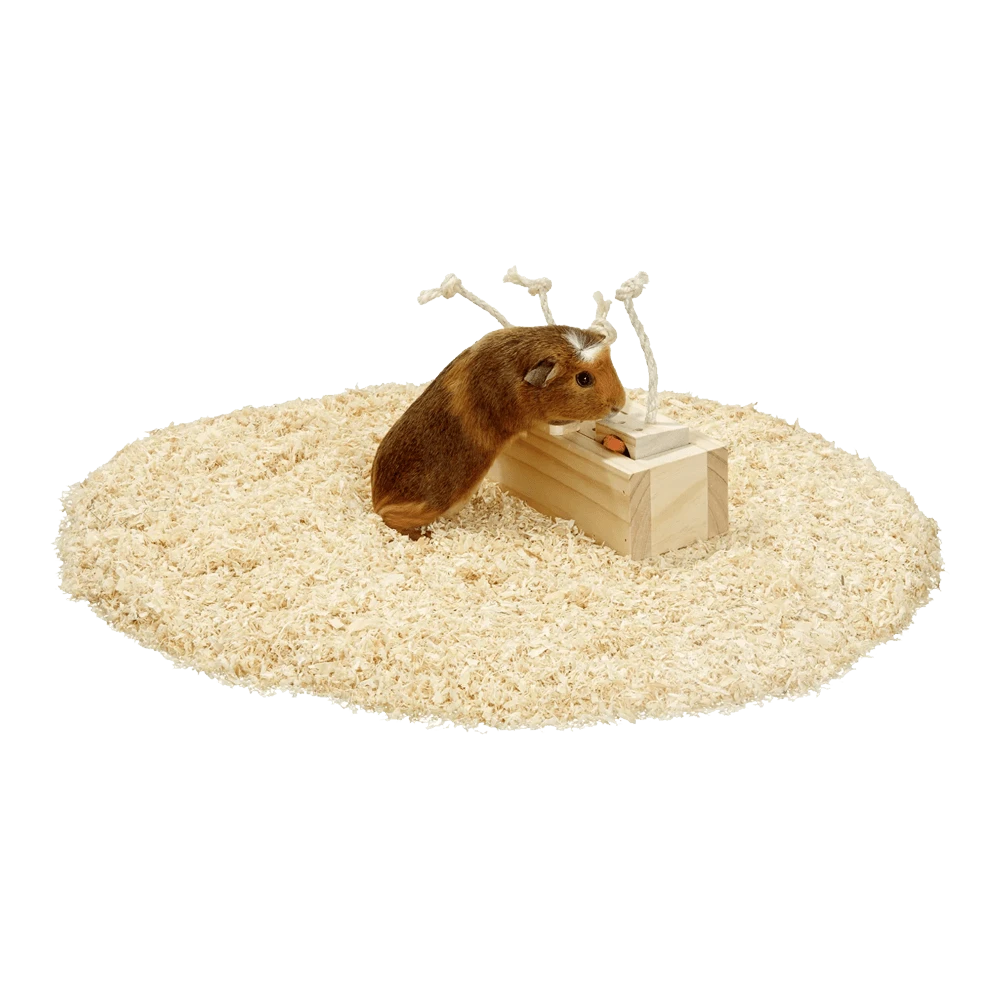 Flamingo Rody Brain Train Kast - 4 Blokken Met Touw 4 Flamingo Rody Brain Train Kast - 4 Blokken Met Touw - Afbeelding 2