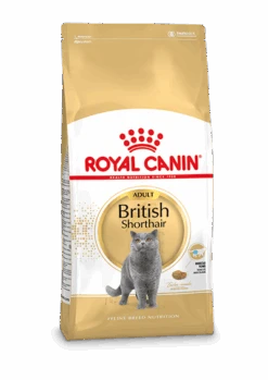 ROYAL CANINu00ae British Shorthair Adult - Volwassen Brits Korthaar - Kattenvoer - 2kg