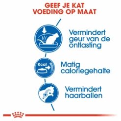 ROYAL CANINu00ae Indoor 27 - Volwassen - Kattenvoer - 2kg -Flamingo Verkoop royal canin indoor 27 volwassen kattenvoer 2kg 3 1