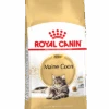 ROYAL CANINu00ae Maine Coon Adult - Volwassen Maine Coon - Kattenvoer - 2kg 1 ROYAL CANINu00ae Maine Coon Adult - Volwassen Maine Coon - Kattenvoer - 2kg -Flamingo Verkoop royal canin maine coon volwassen 2kg kattenvoer 1 1