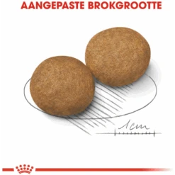 ROYAL CANINu00ae Medium Adult Bonusbag - Hondenvoer - 15 + 3kg -Flamingo Verkoop royal canin medium adult bonusbag 15 3kg hondenvoer 4