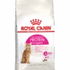 ROYAL CANINu00ae Protein Exigent - Volwassen - Kattenvoer - 2kg 2 ROYAL CANINu00ae Protein Exigent - Volwassen - Kattenvoer - 2kg -Flamingo Verkoop royal canin protein exigent volwassen 2kg kattenvoer 1 1