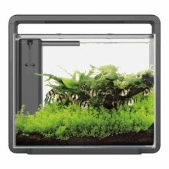Superfish Aquarium Home 45 - Zwart