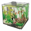 Superfish Aquarium QubiQ 30 - Zwart -Flamingo Verkoop superfish aquarium qubiq 30 zwart 1 2