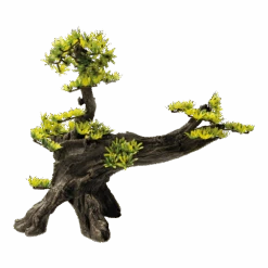 Superfish Deco Bonsai L