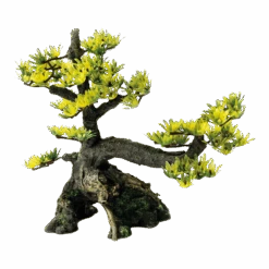 Superfish Deco Bonsai M