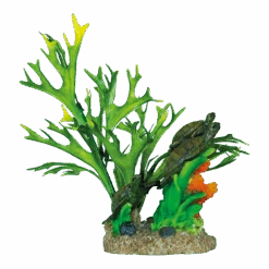 Superfish Deco Garden Turtle