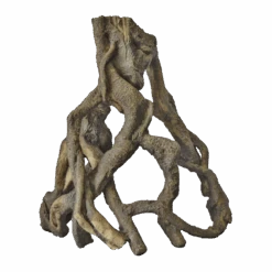 Superfish Mangrove Root L