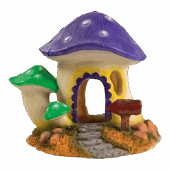 Superfish Mushroom House M