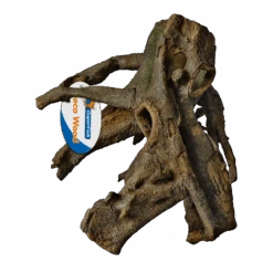 Superfish Standing Root L