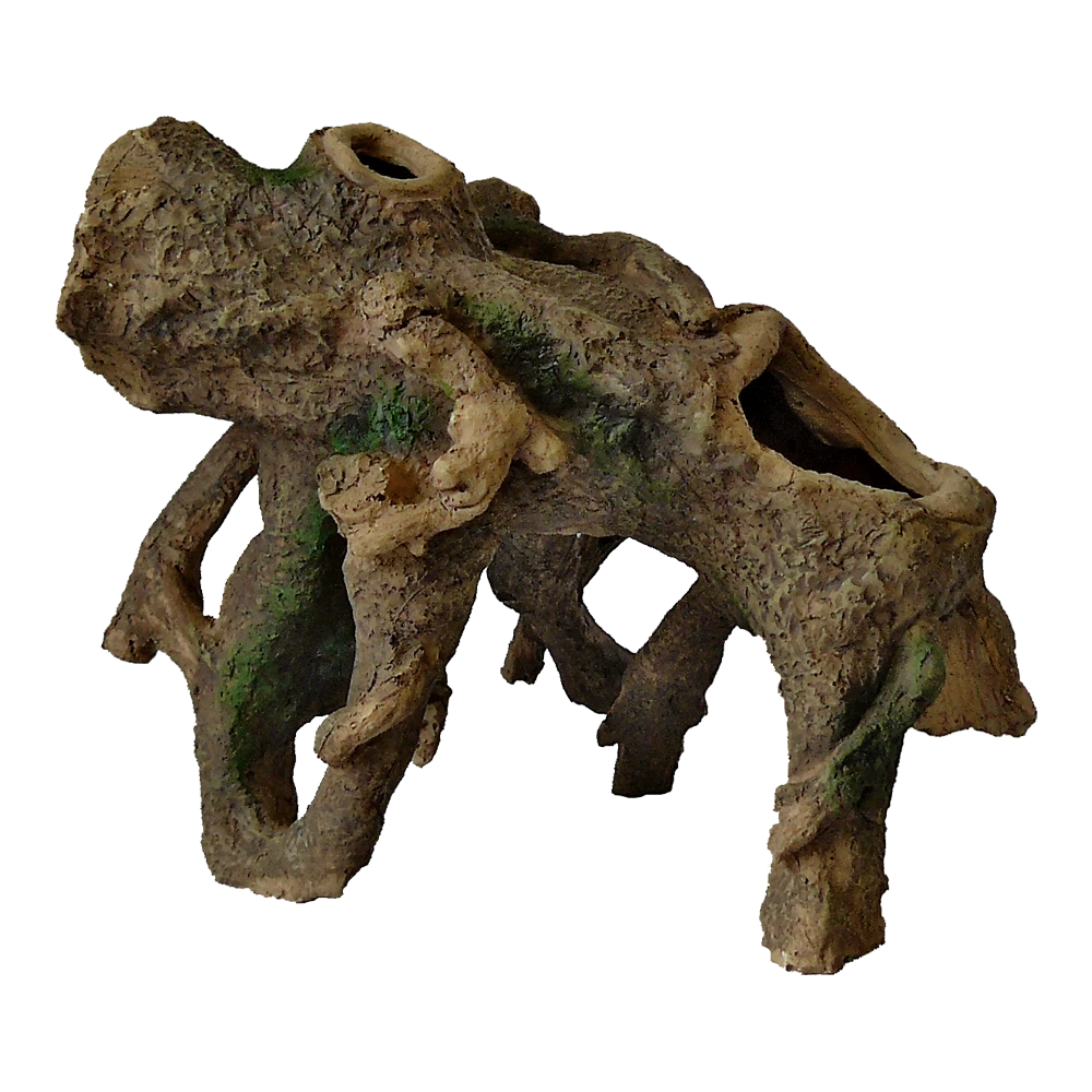 Superfish Standing Root M 3 Superfish Standing Root M