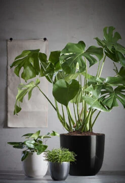 Bloempot Tusca - D31 X H28.5cm - Antraciet -Flamingo Verkoop tusca pot rond antraciet h28 5xd31cm bloempot 6 12