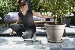 Plantentaxi Elho Universeel 30cm - Antraciet -Flamingo Verkoop universele planttaxi 30cm schotel antraciet 6 11