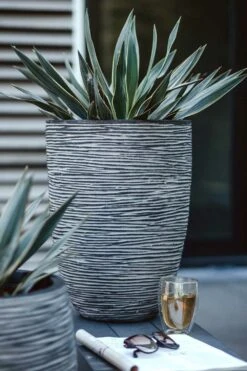 Capi Bloempot Nature Elegant Rib NL - D46 X H58cm - Antraciet -Flamingo Verkoop vaas elegant laag rib nl 46x58 antraciet bloempot 6 8