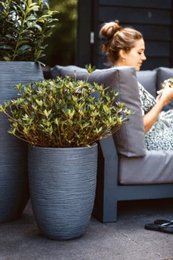 Capi Bloempot Nature Elegant Rib NL - D46 X H58cm - Donkergrijs -Flamingo Verkoop vaas elegant laag rib nl donkergrijs bloempot 2 4