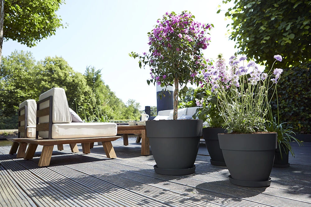 Bloempot Elho Vibia Campana Rond 35cm - Antraciet 4 Bloempot Elho Vibia Campana Rond 35cm - Antraciet - Afbeelding 2