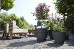 Bloempot Elho Vibia Campana Rond 40cm - Antraciet -Flamingo Verkoop vibia campana rond 40 bloempot antraciet 6 11