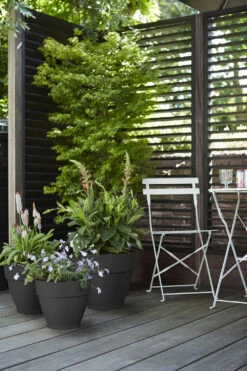 Bloempot Elho Vibia Campana Rond 40cm - Antraciet -Flamingo Verkoop vibia campana rond 40 bloempot antraciet 7 11