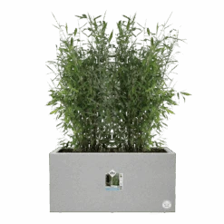 Elho Vivo Next Lang Wielen 80cm - Warm Grijs 13 Elho Vivo Next Lang Wielen 80cm - Warm Grijs -Flamingo Verkoop vivo matt lang wielen 80cm warm grijs 5 1