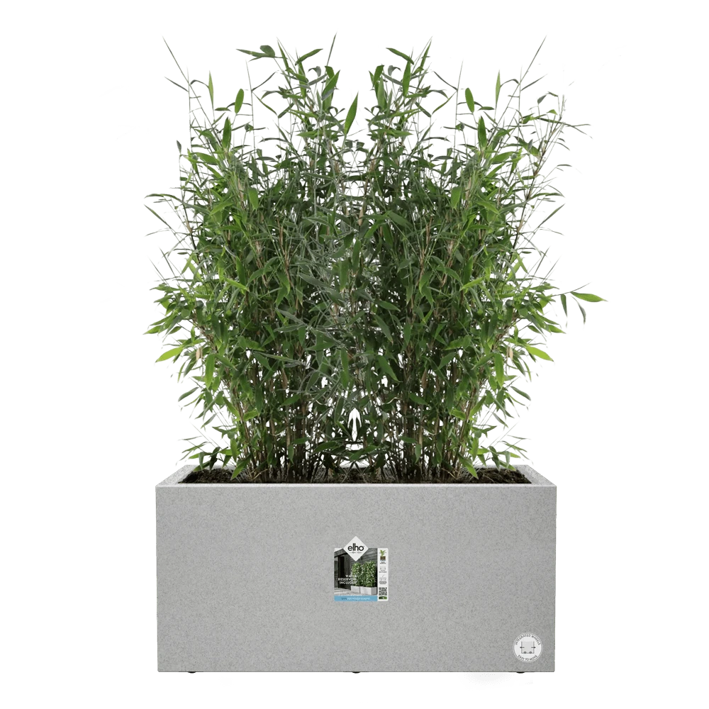 Elho Vivo Next Lang Wielen 80cm - Warm Grijs 7 Elho Vivo Next Lang Wielen 80cm - Warm Grijs - Afbeelding 5