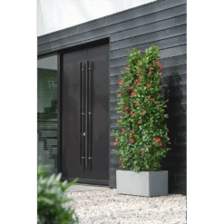 Elho Vivo Next Lang Wielen 80cm - Warm Grijs 14 Elho Vivo Next Lang Wielen 80cm - Warm Grijs -Flamingo Verkoop vivo matt lang wielen 80cm warm grijs 6 1