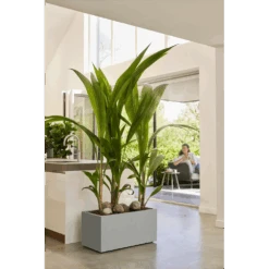 Elho Vivo Next Lang Wielen 80cm - Warm Grijs 15 Elho Vivo Next Lang Wielen 80cm - Warm Grijs -Flamingo Verkoop vivo matt lang wielen 80cm warm grijs 7 1