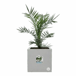 Elho Vivo Next Vierkant Wielen 40cm - Warm Grijs -Flamingo Verkoop vivo matt vierkant wielen 40cm warm grijs 6 1