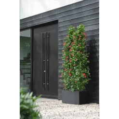 Elho Vivo Next Lang Wielen 80cm - Living Black -Flamingo Verkoop vivo next lang wielen 80cm living black 6 1