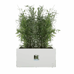 Elho Vivo Next Lang Wielen 80cm - Wit -Flamingo Verkoop vivo next lang wielen 80cm wit 5 1