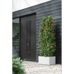 Elho Vivo Next Lang Wielen 80cm - Wit -Flamingo Verkoop vivo next lang wielen 80cm wit 6 1