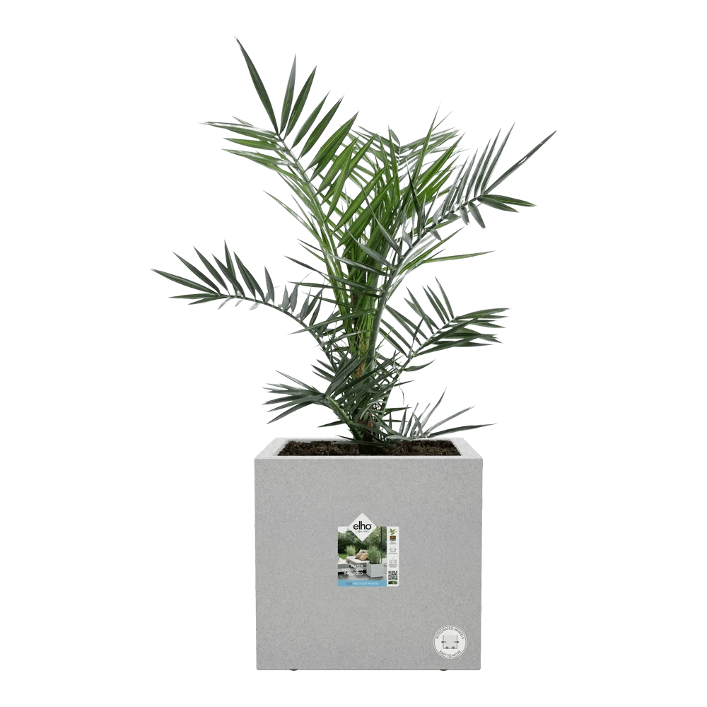 Elho Vivo Next Vierkant Wielen 30cm - Warm Grijs 8 Elho Vivo Next Vierkant Wielen 30cm - Warm Grijs - Afbeelding 6