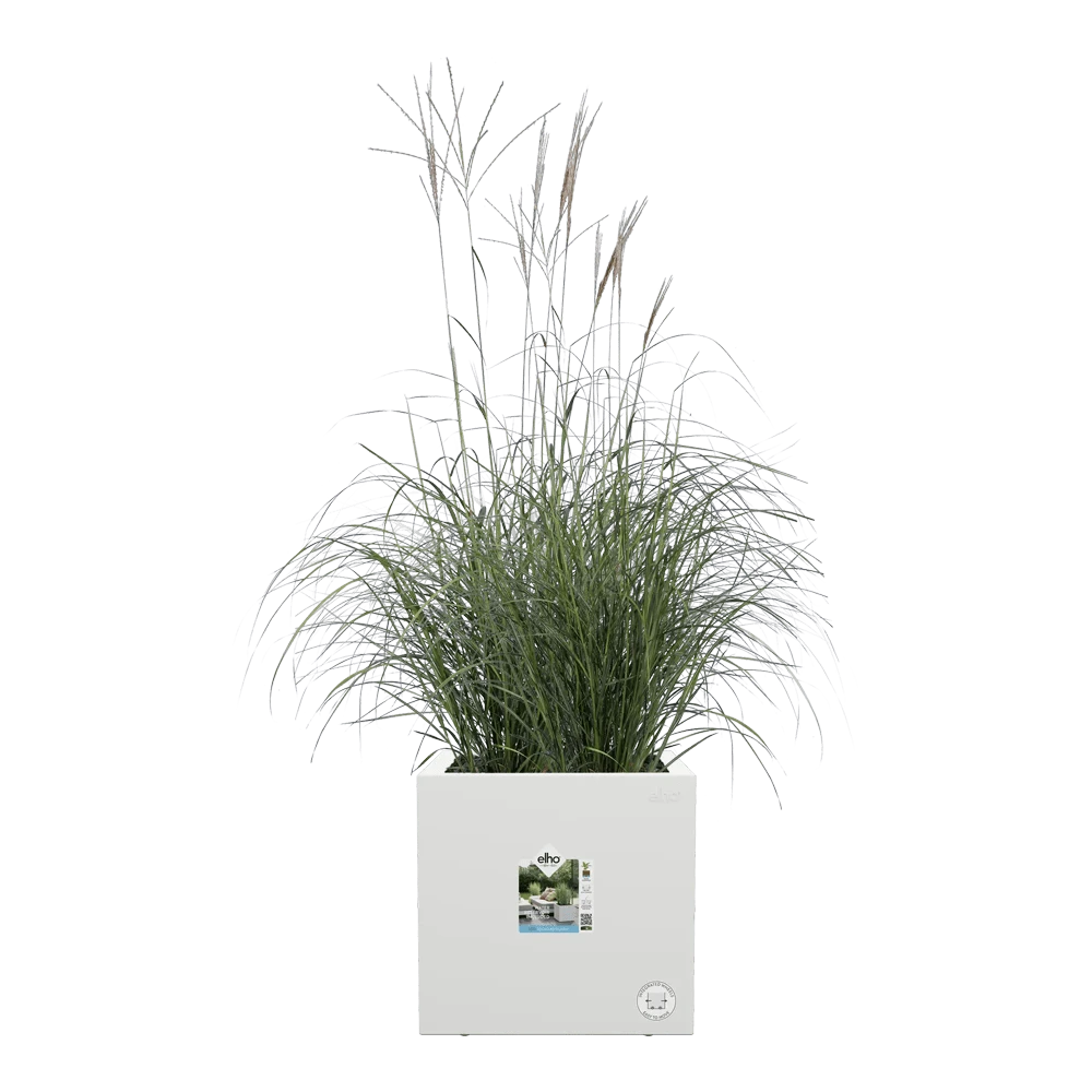 Elho Vivo Next Vierkant Wielen 30cm - Wit 7 Elho Vivo Next Vierkant Wielen 30cm - Wit - Afbeelding 5