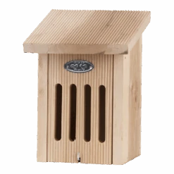 Vlinderkast In Cadeaudoos